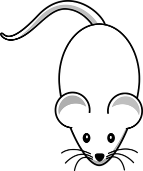 mouse-311396__340